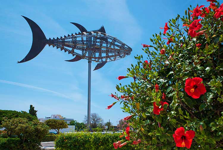 Tunfisk Cadiz Spania