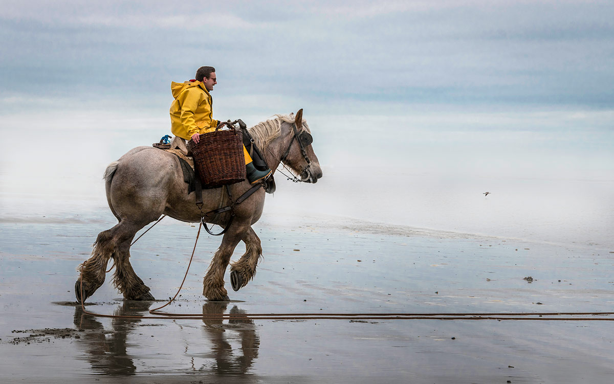 Belgia – rekefiske fra hesteryggen
