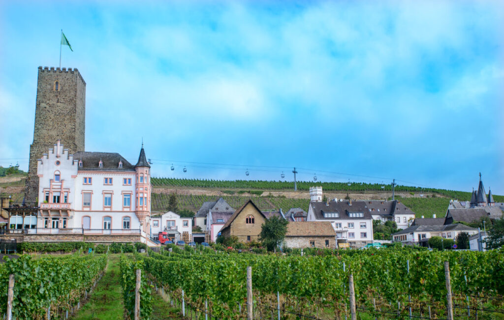 vintur Rüdesheim