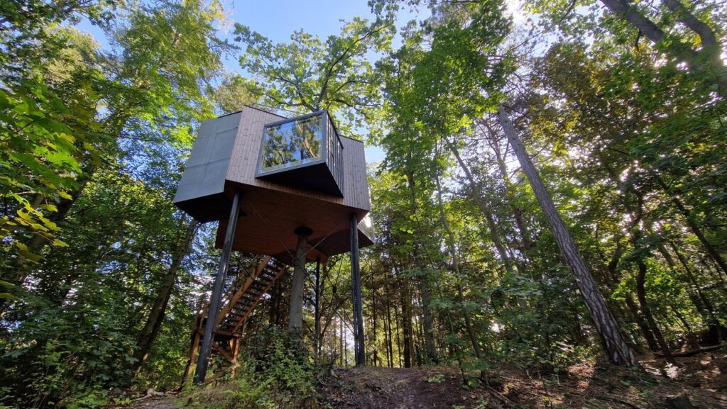 Tretopphytte Løvtag